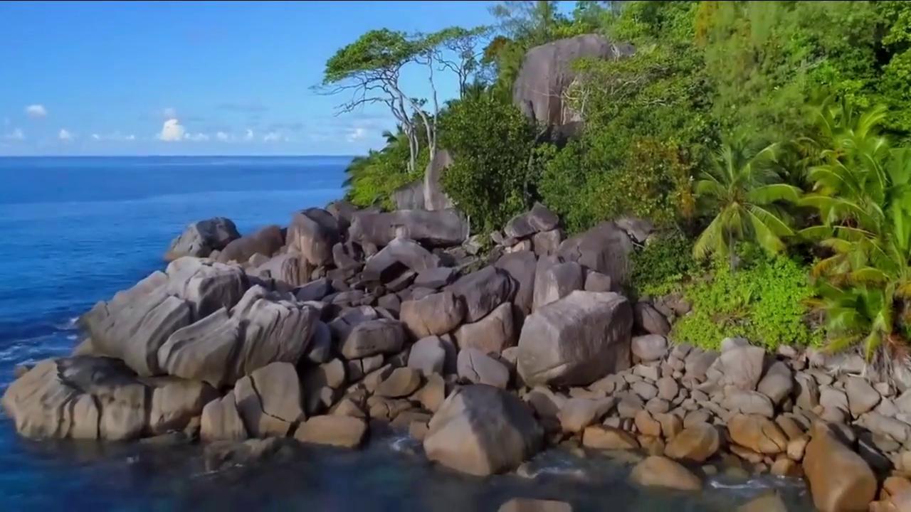 Partial Curl Ups Exercise